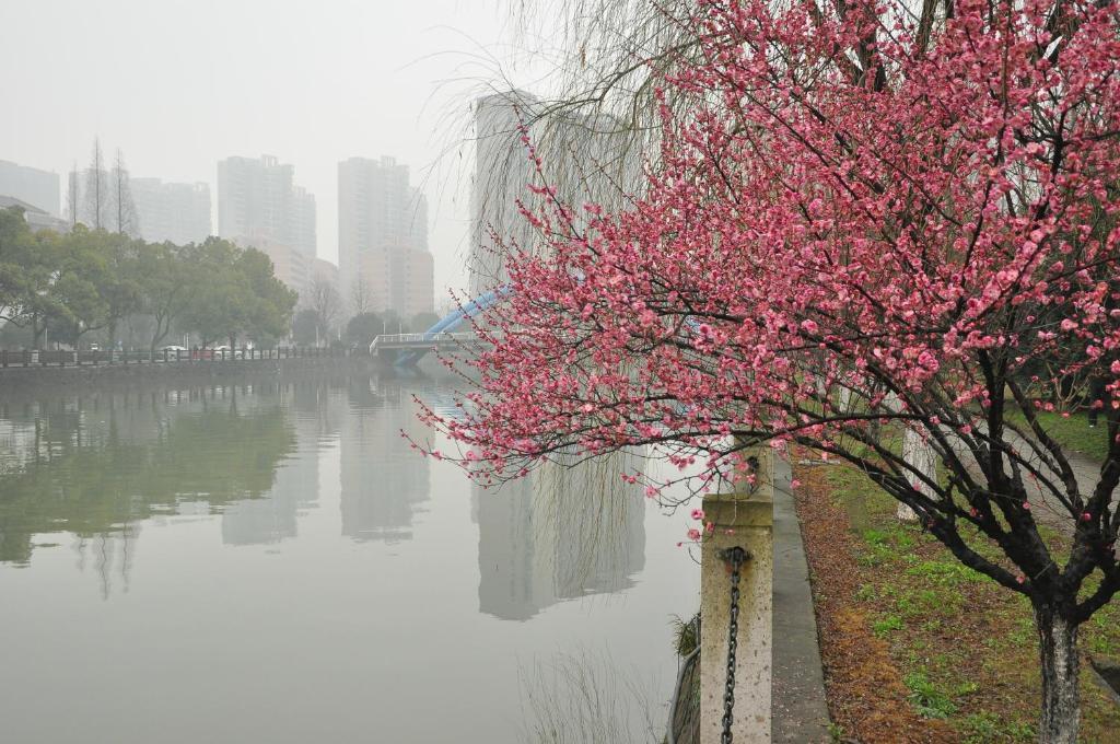 Zhejiang Xiangyuan Hotel Χανγκζού Εξωτερικό φωτογραφία